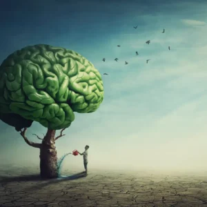 Building A Culture Of Mental Health Support